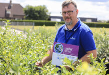 Coraz lepsze odmiany borówki