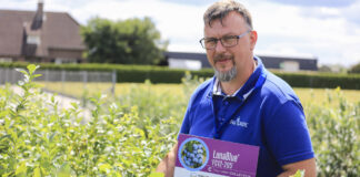 Coraz lepsze odmiany borówki