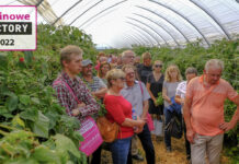 Malinowe Factory – finał sezonu 2022, 3 września