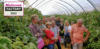 Malinowe Factory – finał sezonu 2022, 3 września