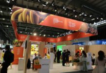 Peru może sprzedać prawie 300 000 ton świeżych borówek w sezonie 2022/23