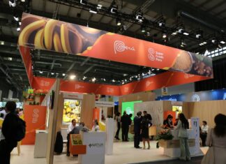 Peru może sprzedać prawie 300 000 ton świeżych borówek w sezonie 2022/23
