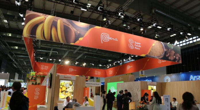 Peru może sprzedać prawie 300 000 ton świeżych borówek w sezonie 2022/23