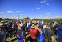 Borówkowe Factory 2022 – trzeci sezon i wnioski z projektu