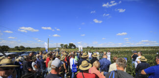 Borówkowe Factory 2022 – trzeci sezon i wnioski z projektu