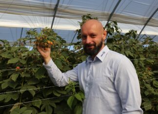 Technicznie o stosowaniu produktów w ochronie i nawożeniu malin