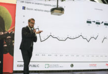 Rekordowe ceny aronii w 2025 roku. Czy będzie boom na nowe nasadzenia?