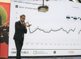Rekordowe ceny aronii w 2025 roku. Czy będzie boom na nowe nasadzenia?