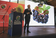 Polska to światowy gigant w produkcji aronii