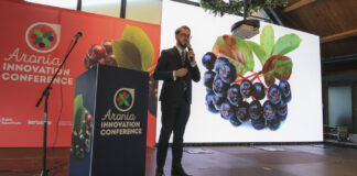 Polska to światowy gigant w produkcji aronii