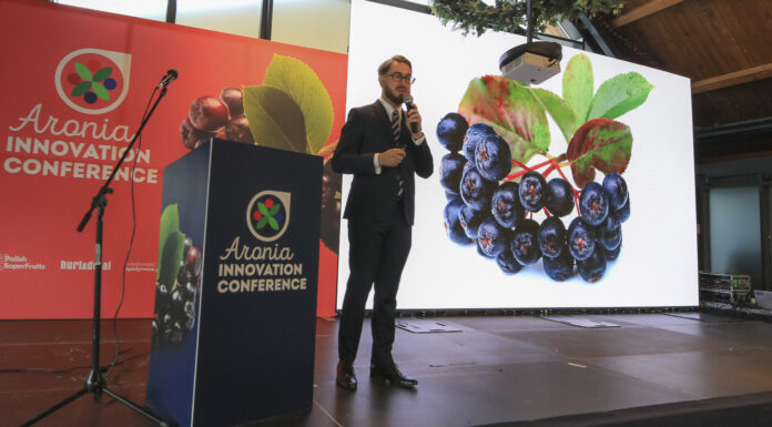 Polska to światowy gigant w produkcji aronii
