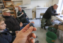 Nowe polskie odmiany borówki i haskapu? Tak, i to już niebawem!