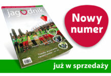 Jagodnik 7/2022 już w sprzedaży
