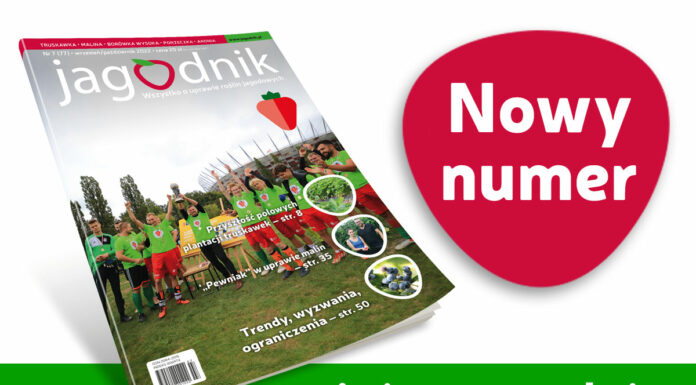 Jagodnik 7/2022 już w sprzedaży