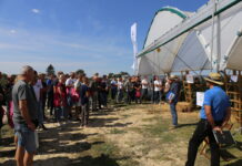 Malinowe Factory 2022 – finał siódmej edycji