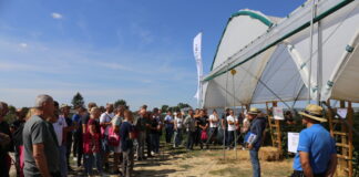 Malinowe Factory 2022 – finał siódmej edycji