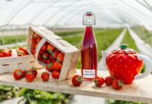 Berry Fest – pierwszy przegląd alkoholi z owoców jagodowych