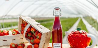 Berry Fest – pierwszy przegląd alkoholi z owoców jagodowych