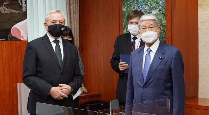 Czy polskie borówki będą sprzedawane do Japonii?