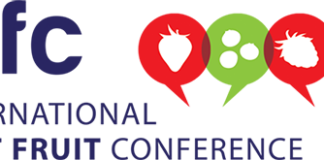 Holenderski Dzień Truskawki i International Soft Fruit Conference 2023