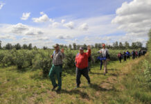 Petycja w sprawie zatrudnienia pracowników cudzoziemców. Przeczytaj i podpisz!