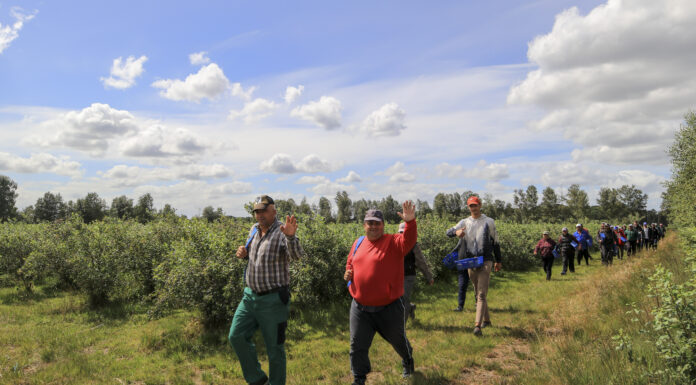 Petycja w sprawie zatrudnienia pracowników cudzoziemców. Przeczytaj i podpisz!