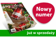 Jagodnik 8/2022 – już w sprzedaży