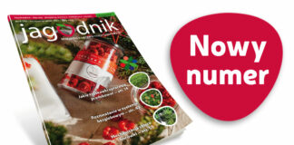 Jagodnik 8/2022 – już w sprzedaży