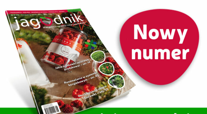 Jagodnik 8/2022 – już w sprzedaży