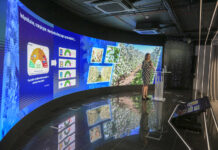 Nowości w ochronie upraw jagodowych