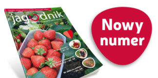 Jagodnik 1/2023 już w sprzedaży