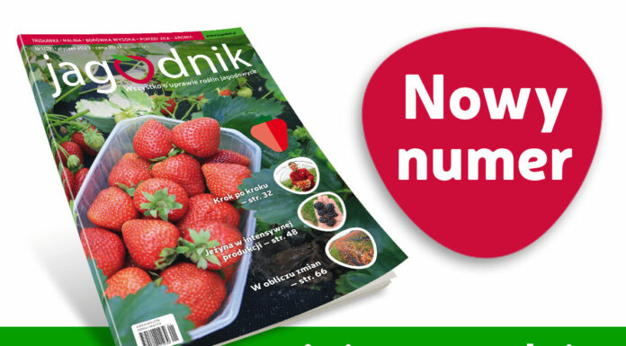 Jagodnik 1/2023 już w sprzedaży