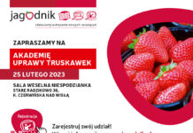 Akademia Uprawy Truskawek – zapraszamy 25 lutego