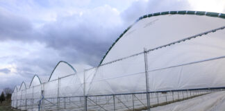 Jak się mają truskawki w tunelach?