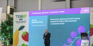 Porzeczka na TOPIE. TSW 2023 (cz. I)