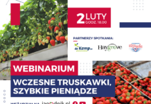 Wczesne truskawki, szybkie pieniądze – webinar już 2 lutego!