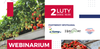 Wczesne truskawki, szybkie pieniądze – webinar już 2 lutego!