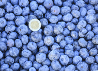 Kolejny azjatycki rynek otwiera się na polskie borówki