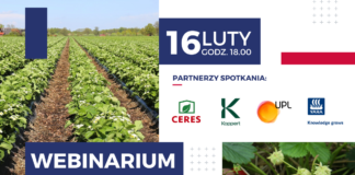 Webinarium: Zdrowe truskawki, dochodowa produkcja