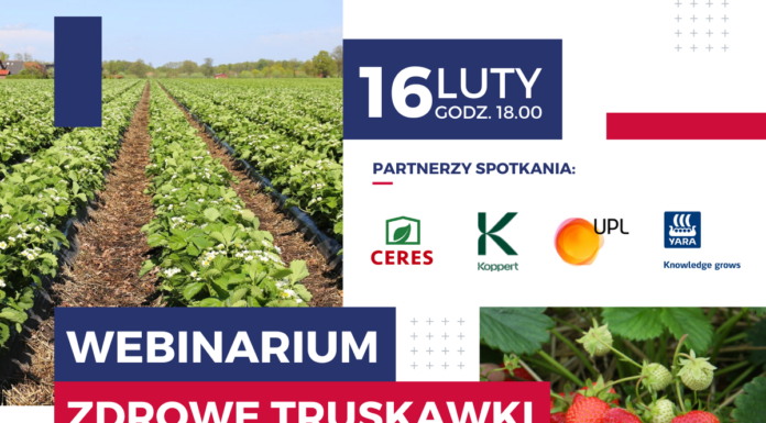 Webinarium: Zdrowe truskawki, dochodowa produkcja