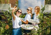 BORÓWKI ULUBIONYM SUPEROWOCEM ŚWIATA – wyzwanie szczytu IBO 2023