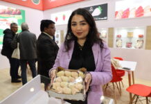 Fruit Logistica 2023, cz. 1 – sadzonki i owoce