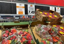 Ceny owoców jagodowych w drugiej połowie lutego – borówka, malina, truskawka – mała podaż, wysokie ceny