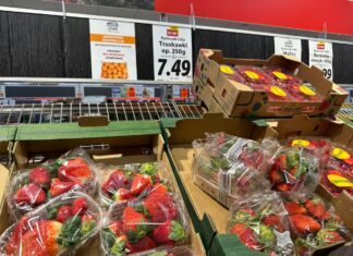 Ceny owoców jagodowych w drugiej połowie lutego – borówka, malina, truskawka – mała podaż, wysokie ceny