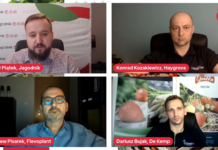 Jak wczesne powinny być wczesne truskawki?