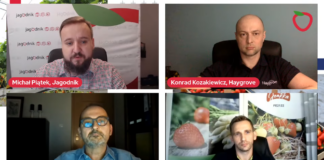 Jak wczesne powinny być wczesne truskawki?