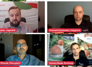 Jak wczesne powinny być wczesne truskawki?