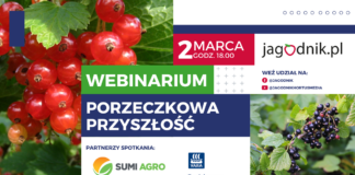 Webinar: Porzeczkowa przyszłość