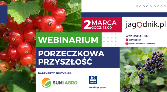 Webinar: Porzeczkowa przyszłość