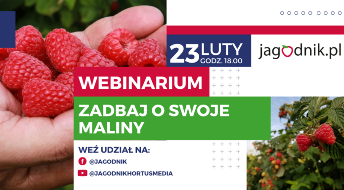 Webinarium: Zadbaj o swoje MALINY